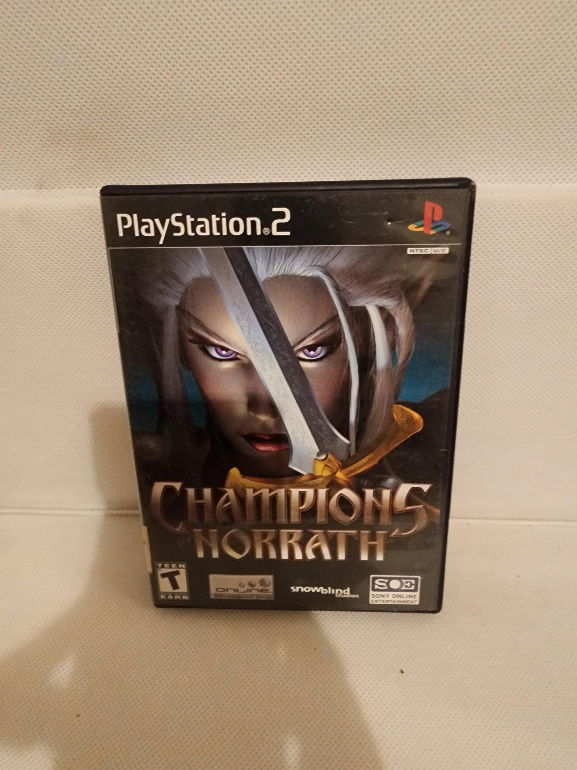 Champions of Norrath - PlayStation 2