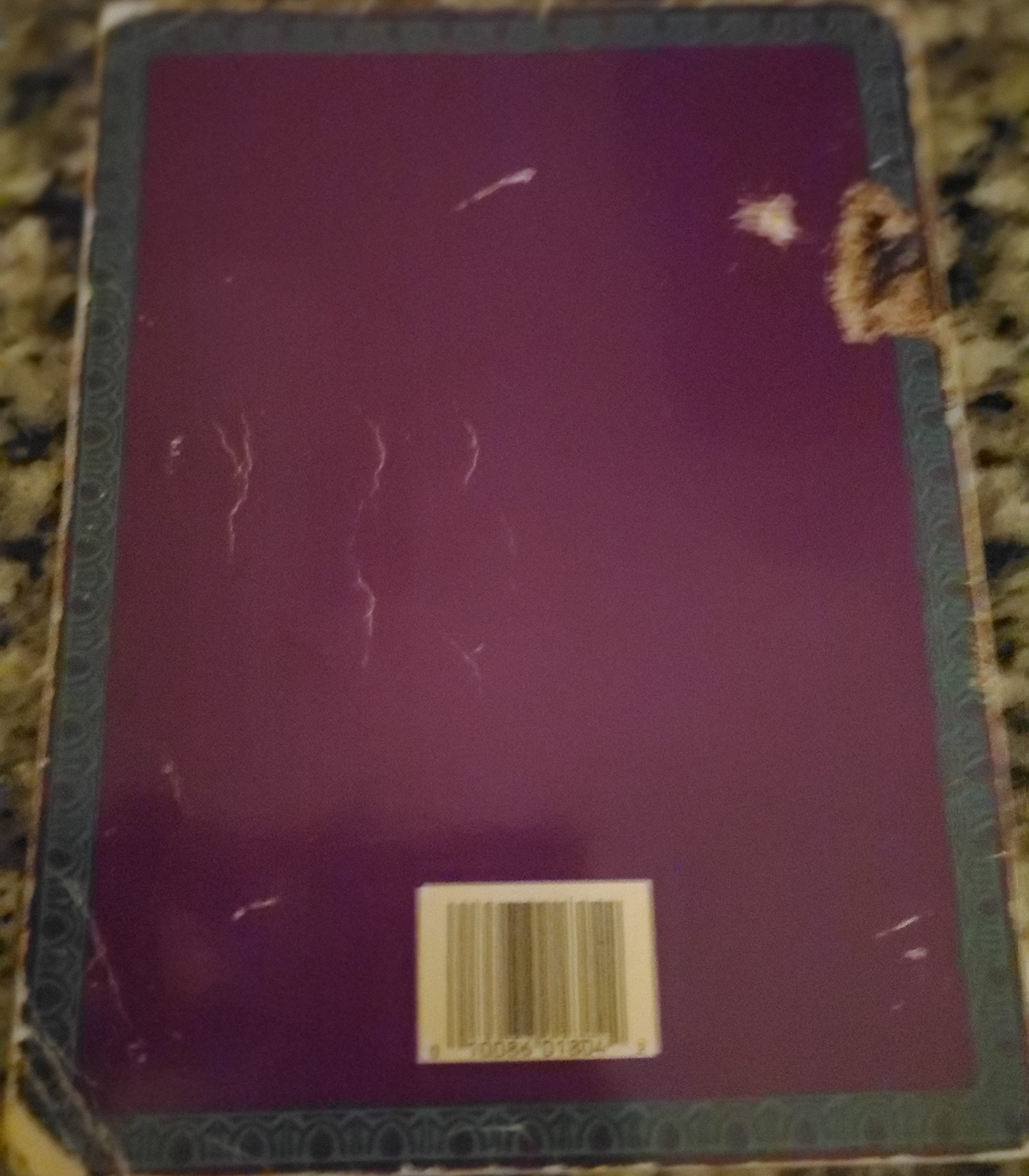 Warriors of the Eternal Sun Hint Book [sega_genesis]